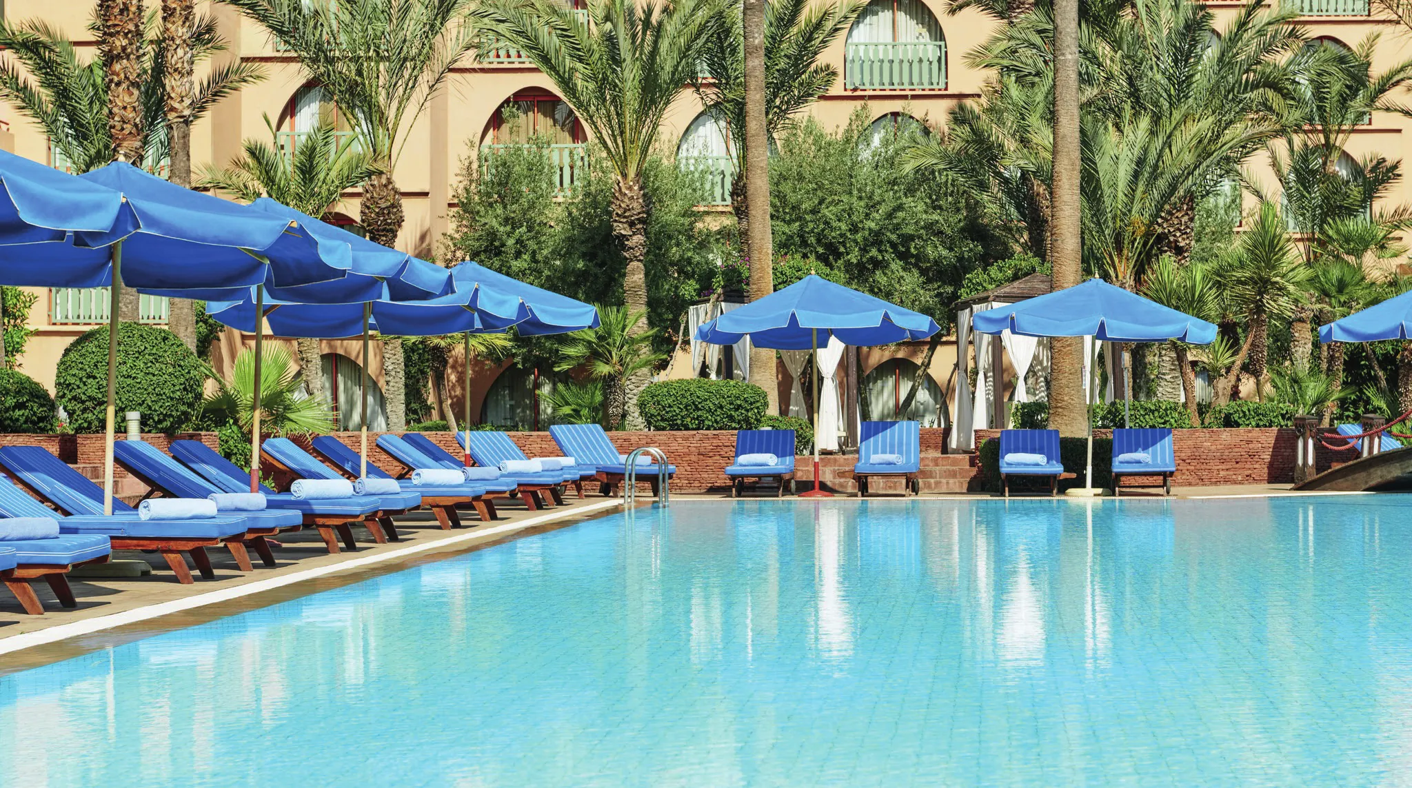 Blue loungers and parasols by the pool, in front of the palm trees